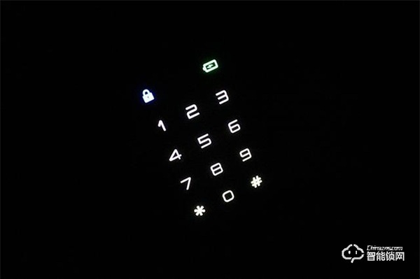 一次投入多重守護，帶貓眼的全自動智能鎖