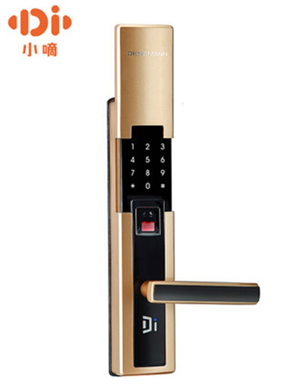 德施曼智能鎖多少錢_德施曼智能鎖特點(diǎn)介紹 德施曼智能鎖多少錢_德施曼智能鎖特點(diǎn)介紹