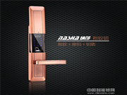 納莎智能鎖多少錢_納莎智能鎖保養技巧