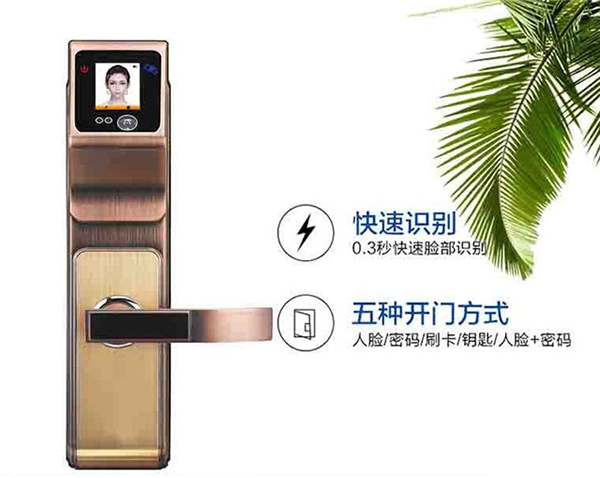 堅甲衛(wèi)士智能鎖好嗎_堅甲衛(wèi)士智能鎖怎么樣 堅甲衛(wèi)士智能鎖好嗎_堅甲衛(wèi)士智能鎖怎么樣