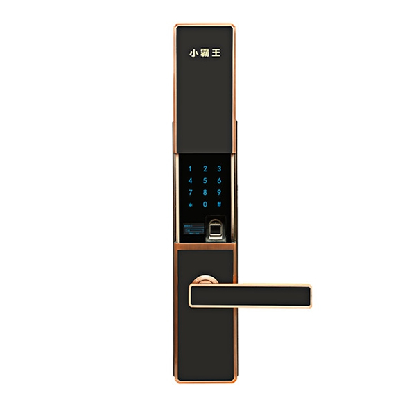 小霸王智能鎖多少錢_選購智能鎖注意事項(xiàng)