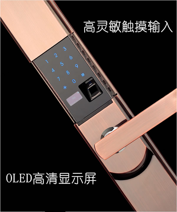 頂吉無孔智能門鎖200F 為安全鑄造新基點