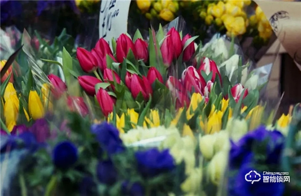 飛利浦智能鎖，讓團聚更及時，讓年味更顯智慧