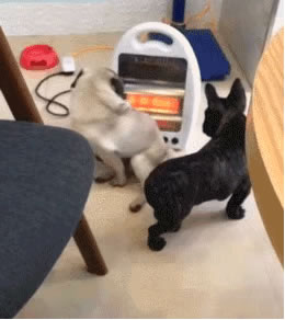 飛利浦智能鎖,讓你溫暖過冬 飛利浦智能鎖,讓你溫暖過冬