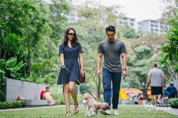 預(yù)防寵物走丟方式千千萬(wàn),飛利浦智能鎖,讓寵物在家更安全 預(yù)防寵物走丟方式千千萬(wàn),飛利浦智能鎖,讓寵物在家更安全