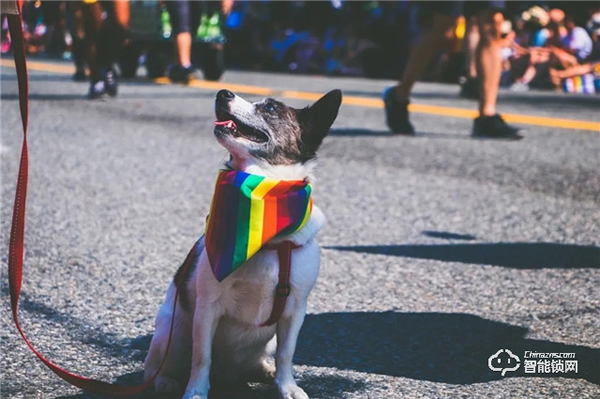 預(yù)防寵物走丟方式千千萬(wàn),飛利浦智能鎖,讓寵物在家更安全 預(yù)防寵物走丟方式千千萬(wàn),飛利浦智能鎖,讓寵物在家更安全