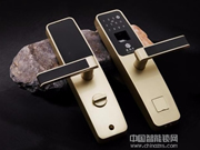 中國智能鎖市場目前正處于快速發展期