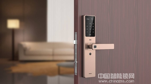 智能防盜鎖在國內擁有巨大的發展潛力 智能防盜鎖在國內擁有巨大的發展潛力