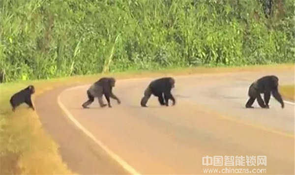 3960億市場蛋糕來臨，智能鎖經銷商該如何分享？