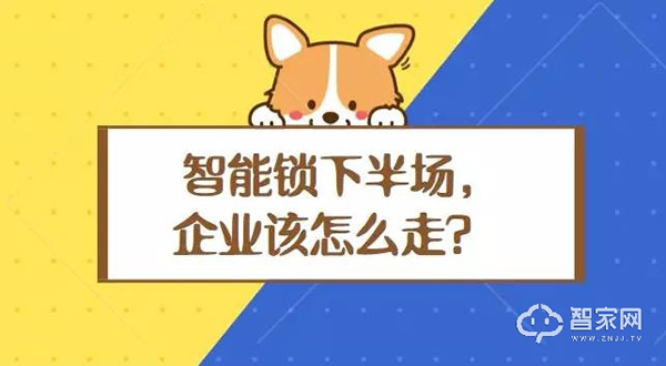 智能門鎖大熱的冷思考：智能鎖行業2019年該怎么走？