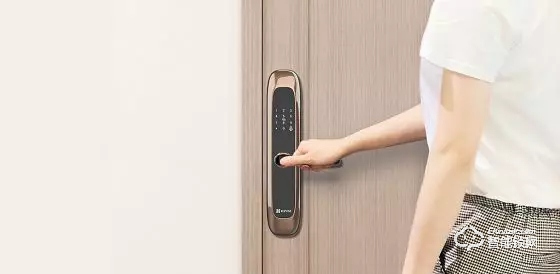 “單身經濟”勢頭強勁，智能家居更受年輕人青睞