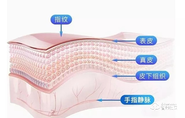 指紋鎖已過時(shí)？指靜脈鎖識別率更高更安全