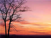 云米智能家居:專注于智能家電研發(fā)、制造