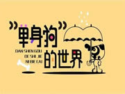 BSPH智能家居在無形中緩解生活里的孤獨感