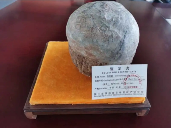 UIOT超級(jí)智慧家獲贈(zèng)恐龍蛋一枚