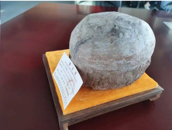 UIOT超級(jí)智慧家獲贈(zèng)恐龍蛋一枚