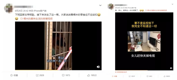 飛利浦智能鎖：寵物獨自開門存在的安全隱患 你注意到了嗎？