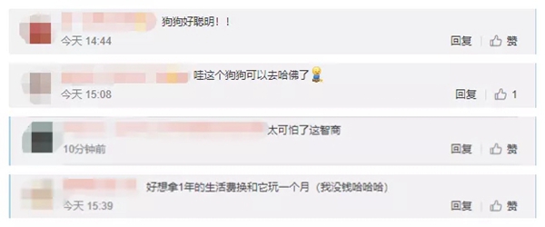 飛利浦智能鎖：寵物獨自開門存在的安全隱患 你注意到了嗎？