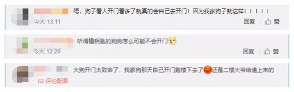 飛利浦智能鎖：寵物獨自開門存在的安全隱患 你注意到了嗎？