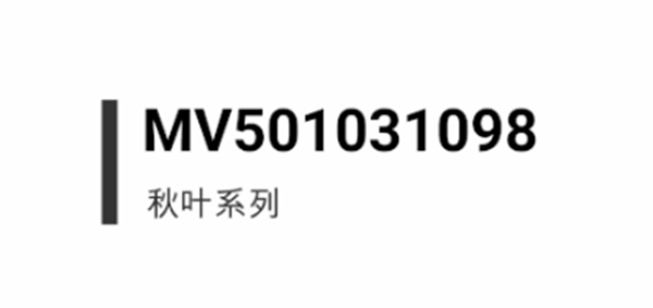 名門靜音門鎖 詮釋匠心與精致
