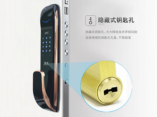 什么樣的智能鎖不能買