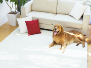 海爾智能家居：滿足更多人對(duì)房子細(xì)節(jié)關(guān)注的需求