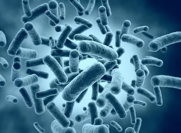 云米全屋互聯(lián)網(wǎng)家電：換一把抗菌門鎖 高效預(yù)防交叉感染