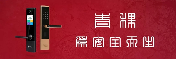 青稞智能鎖載譽而歸 2019互聯(lián)互通合作者大會現(xiàn)場直擊