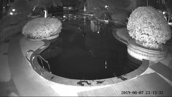 螢石智能鎖“全彩家族”攝像機(jī)就位：黑夜全彩時(shí)代來(lái)臨