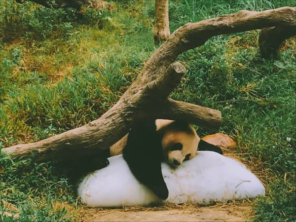 科裕集團(tuán)年度旅游 快樂出游砥礪前行