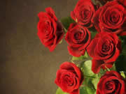 皇迪智能鎖為消費(fèi)者帶來更便捷多樣的生活體驗(yàn)