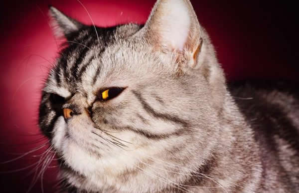 人家已經用了一年多的指紋鎖了，而你還在質疑它？