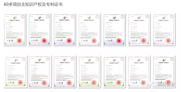 楊格鎖業憑什么在中國智能門鎖中脫穎而出，征服歐洲？