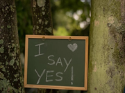 海爾智慧家居：還能不能實現智能家居