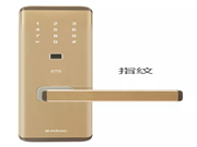 中控智能鎖:智能鎖有哪些種類