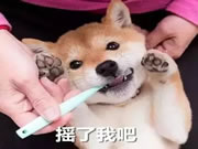 中控智能鎖：提升幸福感的家居物品都有什么