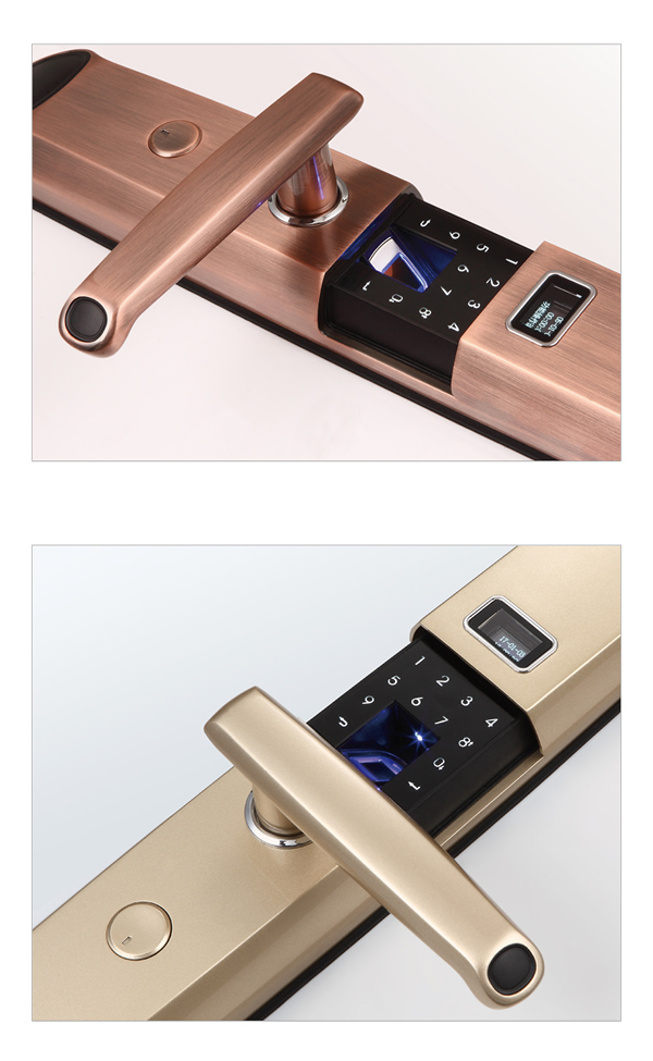 智能防盜門指紋鎖|專業專注的智能指紋密碼鎖制造商廠家哪家好？