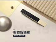 中控智能鎖:提升整體家居氣質(zhì)