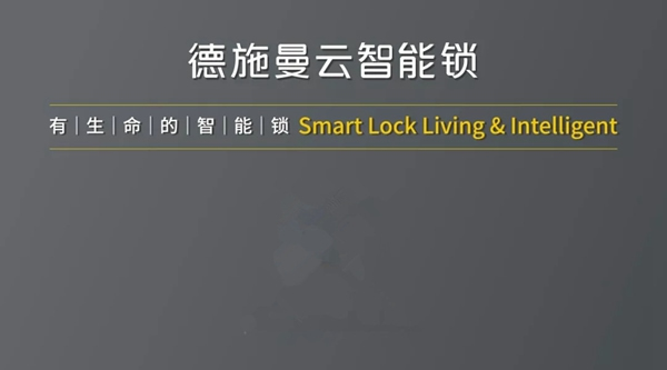 德施曼小嘀云智能鎖雙十二再次登頂，全網(wǎng)銷售第一！