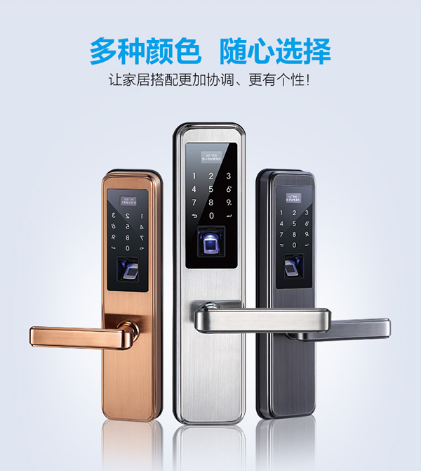 探索：門防盜還是鎖防盜