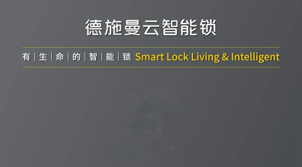 德施曼小嘀云智能鎖越南智能鎖市場份額位列第一，樹立國際化典范