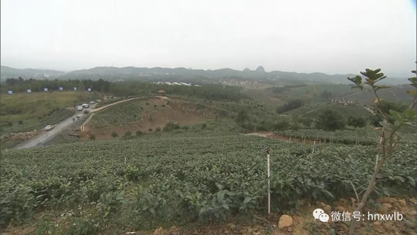 多特智能鎖迎接湖南省省委書記杜家毫一行蒞臨調研