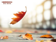 黑龍智能鎖公司團建秋游與員工季度生日會共同舉辦