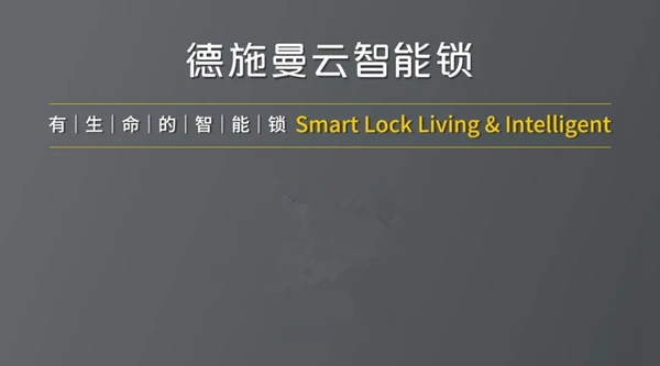 智能鎖經銷商大調查|德施曼小嘀云智能鎖鉅惠雙十一，狂歡享豪禮