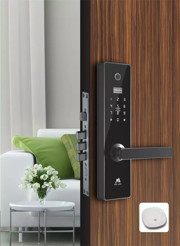 智能鎖經(jīng)銷商大調(diào)查|摩力智能鎖為您打造精品公寓形象