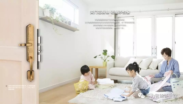 王力智能鎖——您和家庭的忠誠守護者