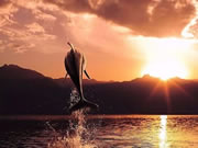 凱迪仕聯合途牛，推出“丟掉鑰匙，暢快旅行”活動，給出發一個理由