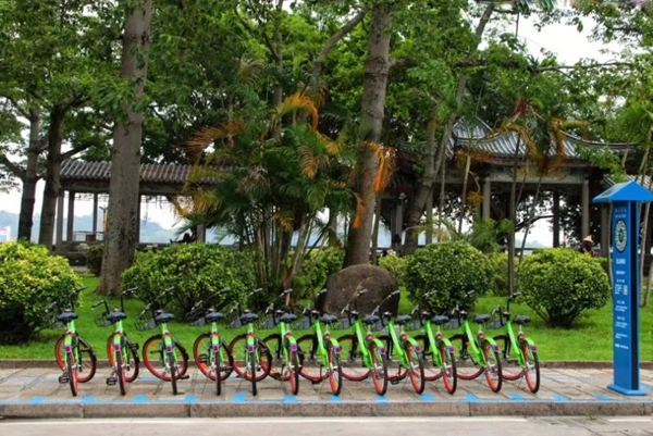 常通物聯：樹工匠心品質，燃產品力之魂