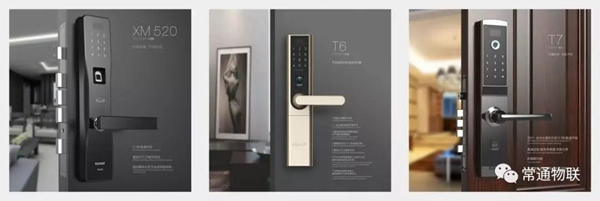 常通物聯：匠心獨具，勇攀高峰