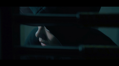 手機(jī)門鎖關(guān)鍵時(shí)刻保平安 德犬帶給你向往的安全生活！